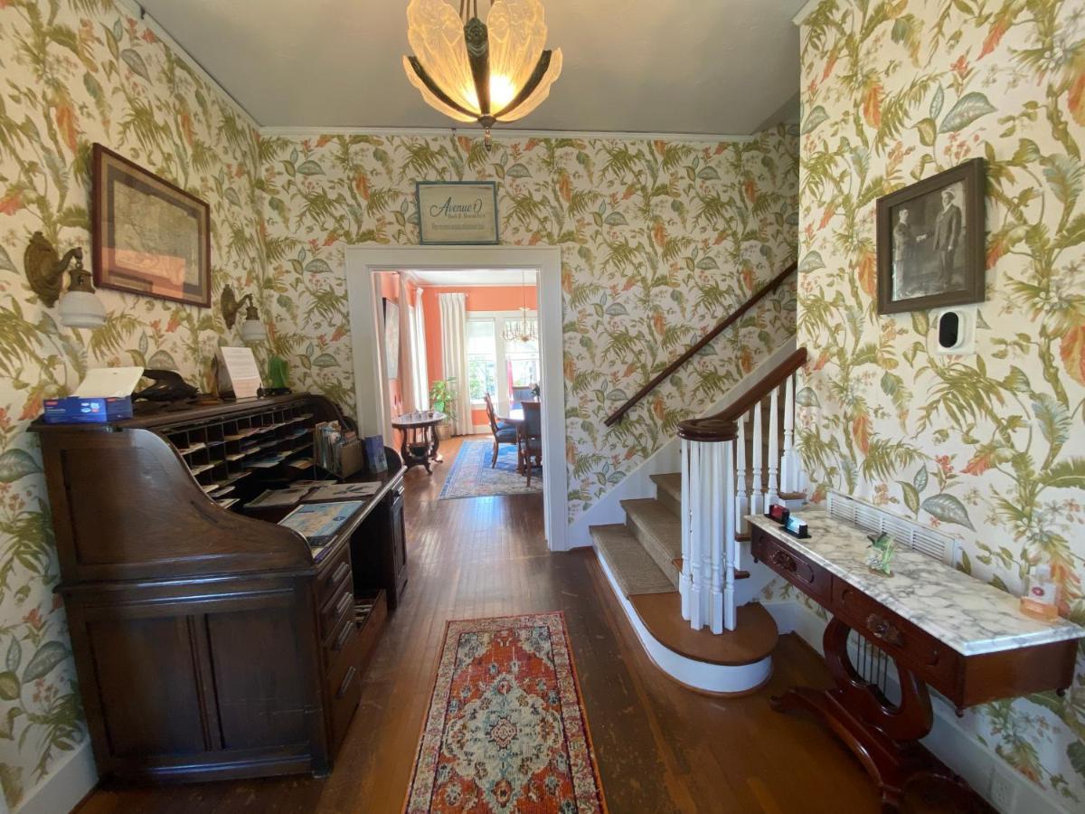 Avenue O Bed And Breakfast Galveston Zewnętrze zdjęcie